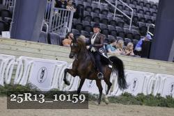 25R13_10159 thumbnail