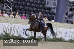 25R13_10160 thumbnail