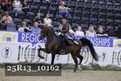 25R13_10162 thumbnail