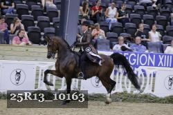 25R13_10163 thumbnail