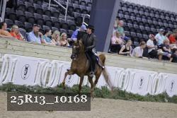 25R13_10168 thumbnail