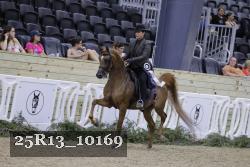 25R13_10169 thumbnail