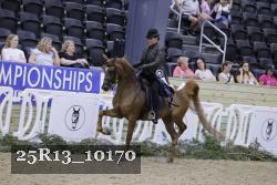 25R13_10170 thumbnail
