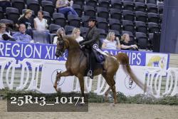 25R13_10171 thumbnail