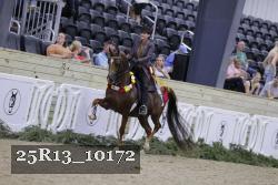 25R13_10172 thumbnail