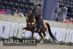 25R13_10173 thumbnail