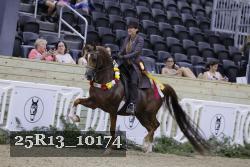 25R13_10174 thumbnail