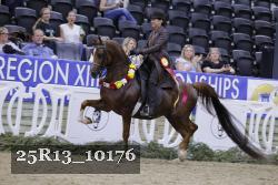 25R13_10176 thumbnail