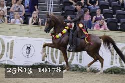 25R13_10178 thumbnail