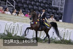 25R13_10180 thumbnail