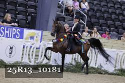 25R13_10181 thumbnail