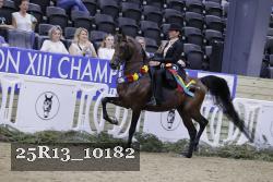 25R13_10182 thumbnail