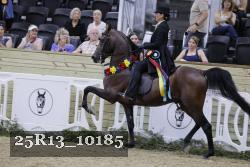 25R13_10185 thumbnail