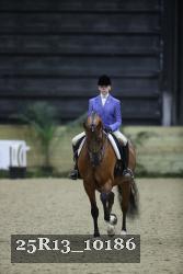 25R13_10186 thumbnail