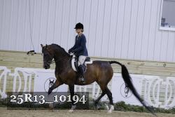 25R13_10194 thumbnail
