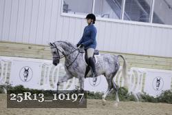 25R13_10197 thumbnail