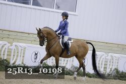 25R13_10198 thumbnail