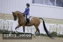 25R13_10199 thumbnail