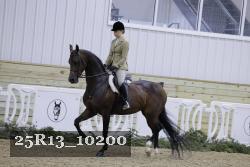 25R13_10200 thumbnail