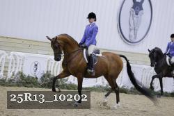 25R13_10202 thumbnail