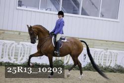 25R13_10203 thumbnail