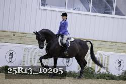 25R13_10205 thumbnail