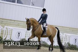 25R13_10208 thumbnail