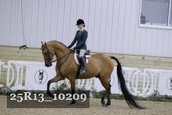 25R13_10209 thumbnail