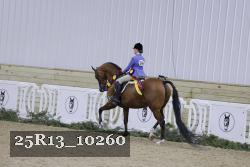 25R13_10260 thumbnail