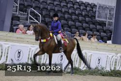 25R13_10262 thumbnail