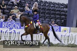 25R13_10263 thumbnail