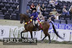 25R13_10264 thumbnail