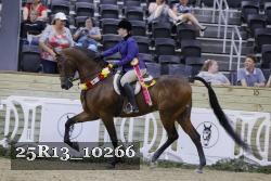 25R13_10266 thumbnail