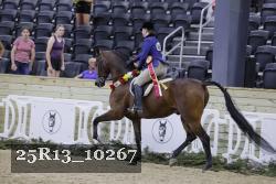 25R13_10267 thumbnail