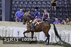 25R13_10268 thumbnail