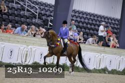 25R13_10269 thumbnail