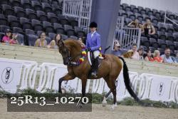 25R13_10270 thumbnail