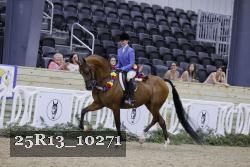 25R13_10271 thumbnail
