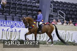 25R13_10272 thumbnail