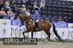 25R13_10273 thumbnail