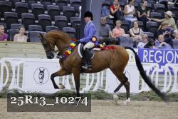 25R13_10274 thumbnail