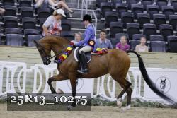 25R13_10275 thumbnail