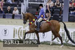 25R13_10276 thumbnail