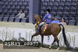 25R13_10277 thumbnail