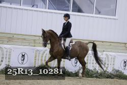 25R13_10281 thumbnail