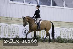 25R13_10288 thumbnail
