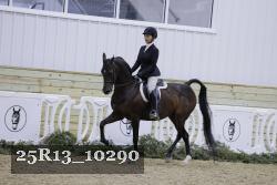 25R13_10290 thumbnail