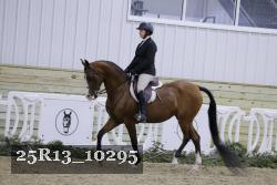 25R13_10295 thumbnail