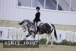 25R13_10297 thumbnail