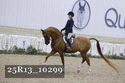 25R13_10299 thumbnail